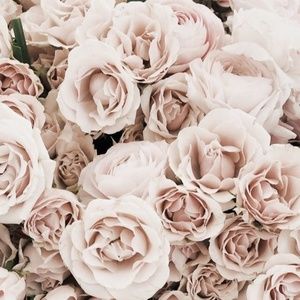 Meet your Posher, Jayleen